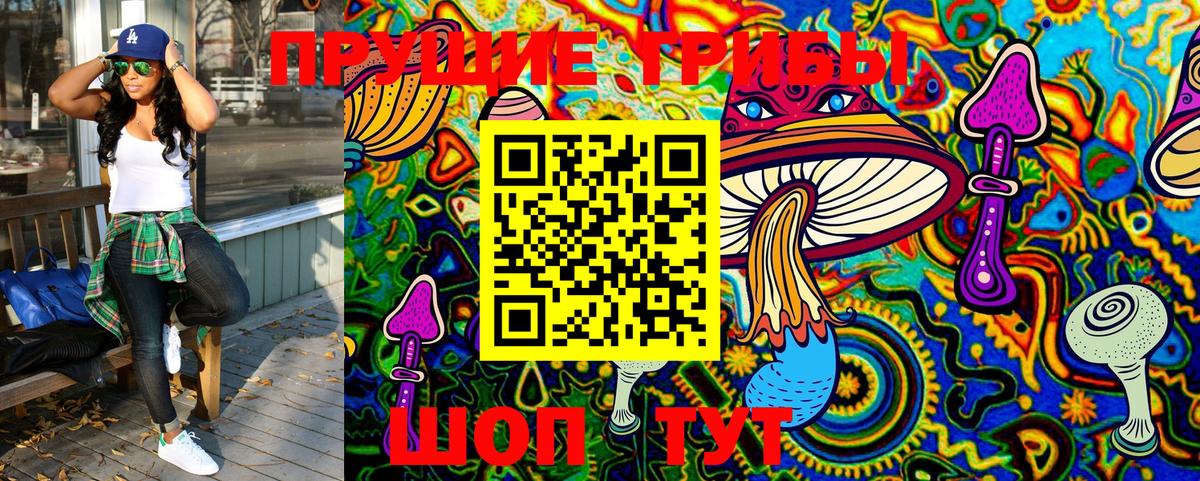 Губкин  Псилоцибиновые грибы MAGIC MUSHROOMS  Вход с VPN 