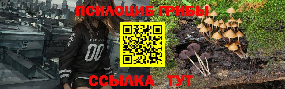 Псилоцибиновые грибы ЛСД Губкин